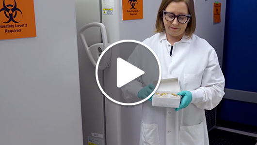 What's in our freezer - Triple Infection