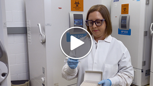 What's in our freezer - Subtype L video