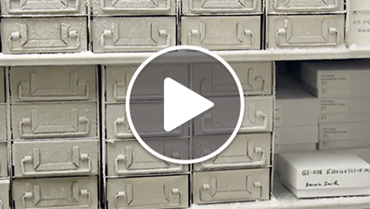 What's in our freezer