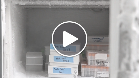 What's in our freezer - Anti HCV test