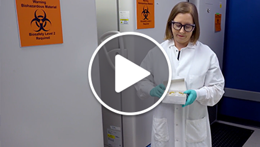 What's in our freezer - Triple Infection