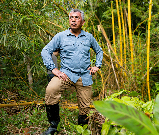 Colombia Infectious Disease image